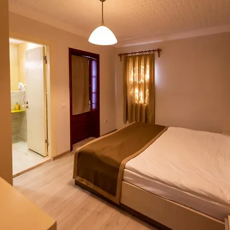 Hotel Vira