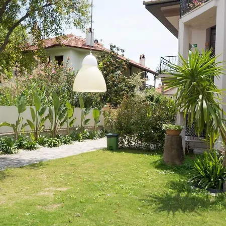 Vira Gocek (Fethiye)